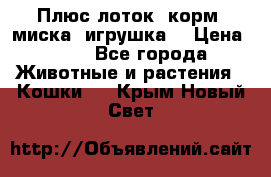 Плюс лоток, корм, миска, игрушка. › Цена ­ 50 - Все города Животные и растения » Кошки   . Крым,Новый Свет